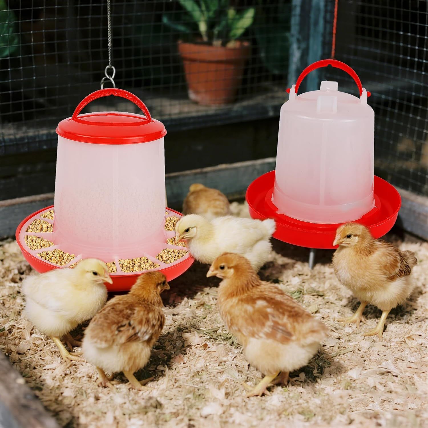 Chick Feeder and Waterer Set – 1 LB + 1 L Hanging Plastic Containers for Outdoor Baby Chicks Small Poultry Drinkers Feeders — image 5
