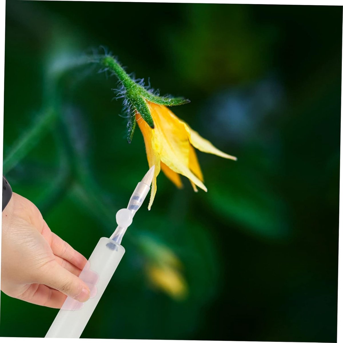 Pollination Pen - Professional Plant Pollinator Tool - Practical & Efficient - For Flower Pollination - Manual Pollinator Range - Garden Tools - For Various — image 5