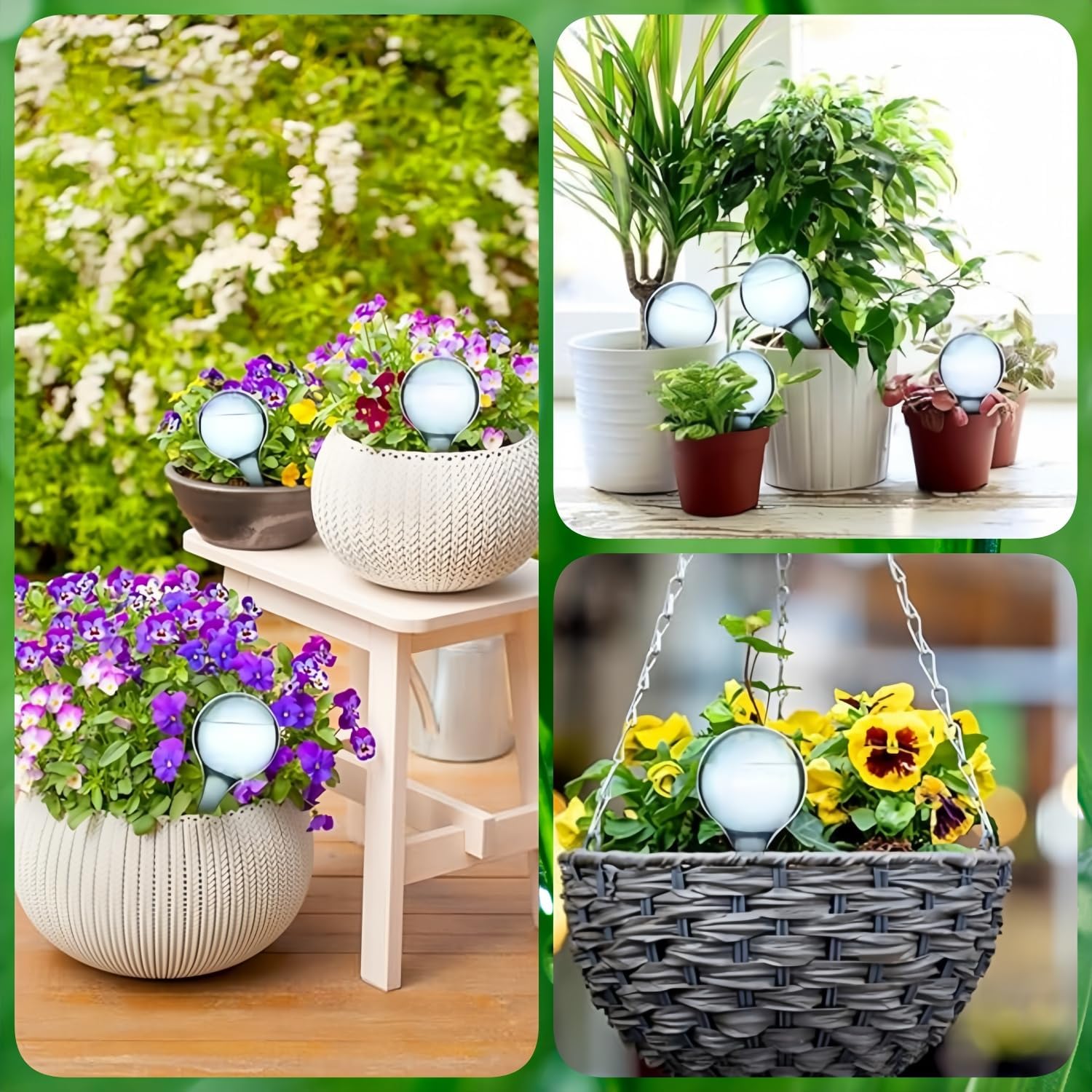 Plastic Garden Watering Globes Device — image 5