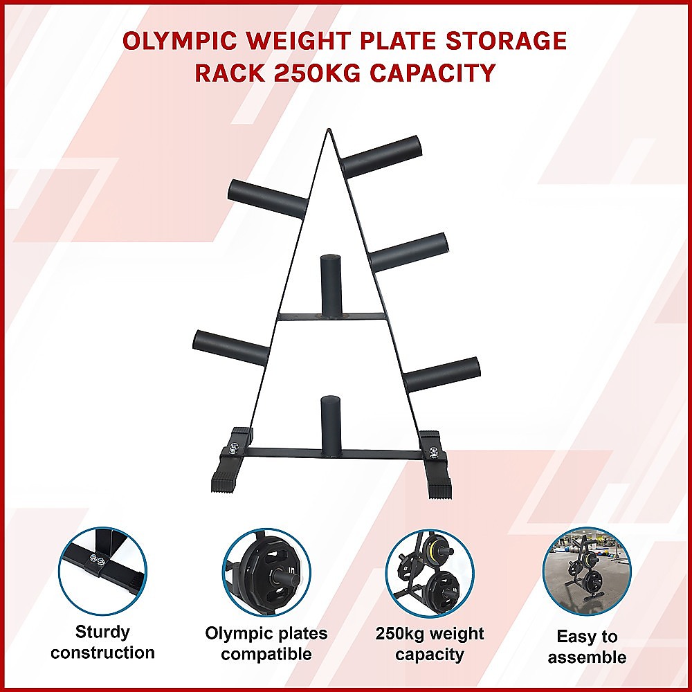 Olympic Weight Plate Storage Rack 250kg Capacity — image 4