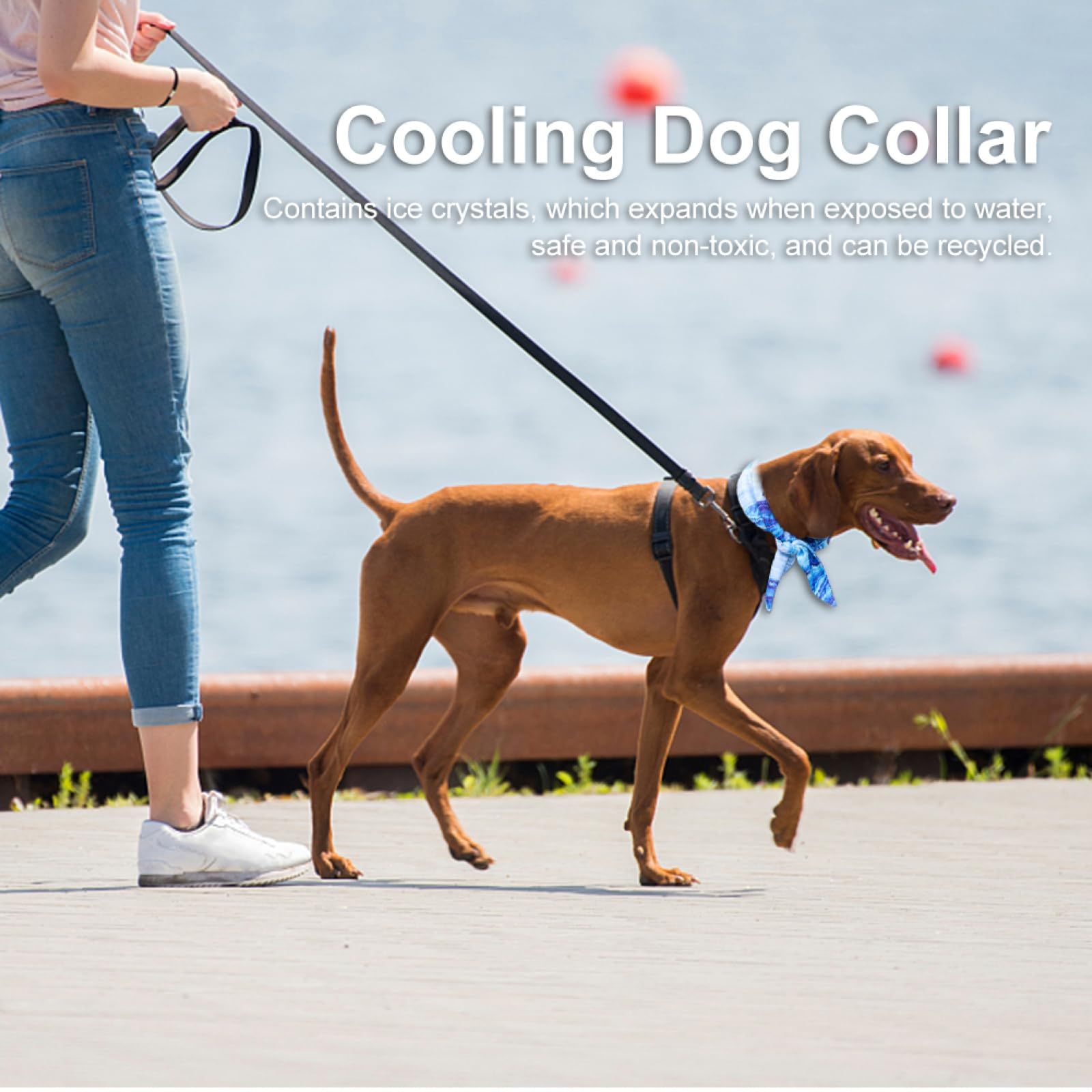 Dog Grooming Comb 2Pcs Pet Cooling Bib Dog Towel Ice Scarf Chill Dog Collar for Summer Cool Comfortable Fabric Dog Scraf S โ image 2