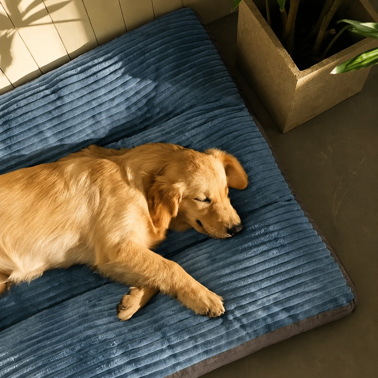 Luxuriously Soft and Thick Pet Sleeping Mat, Removable Washable Cover with Waterproof Non-Slip Base — image 5