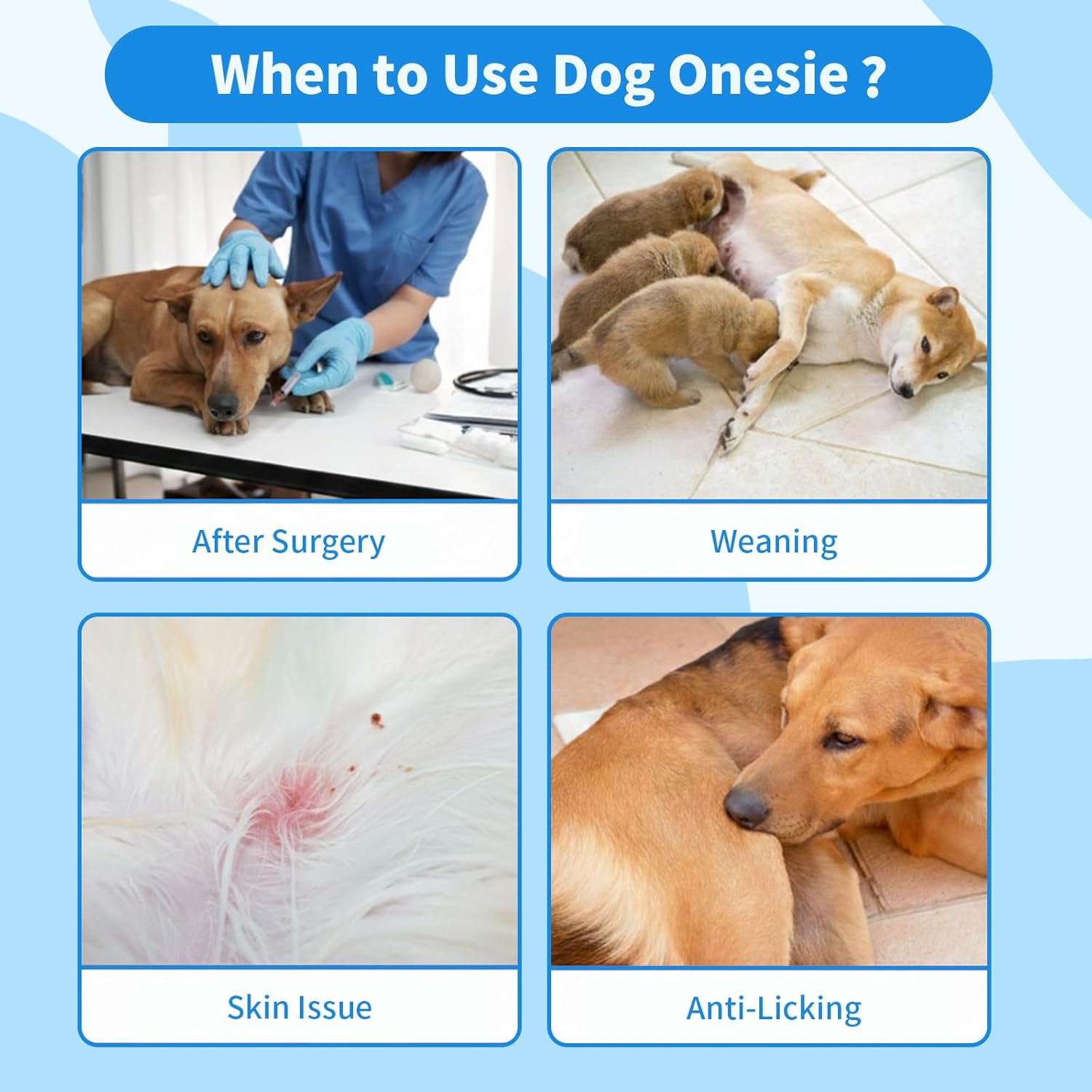 Recovery Suit for Dogs After Surgery, Breathable Dog Onesie Surgical Spay Suit for Female Dogs, Cute Dog Surgery Recovery Suit — image 6