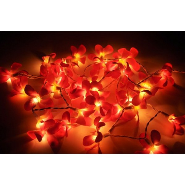 1 Set of 20 LED Deep Red Frangipani Flower Battery String Lights Christmas Gift Home Wedding Party Decoration Outdoor Table Garland Wreath โ image 3