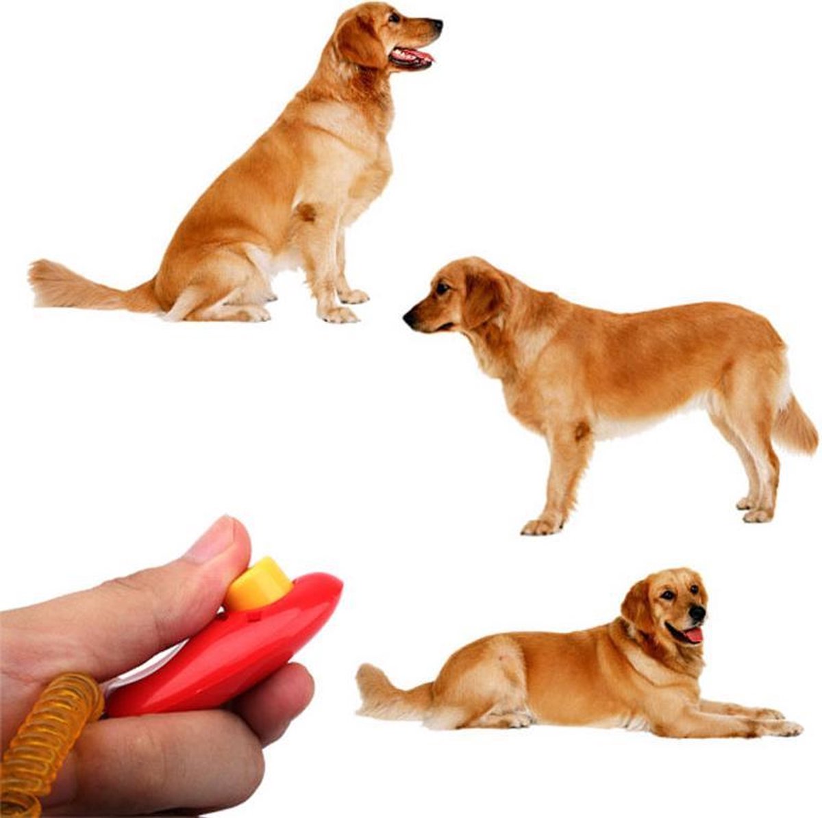 Handy clicker for clicker training - Blue — image 2