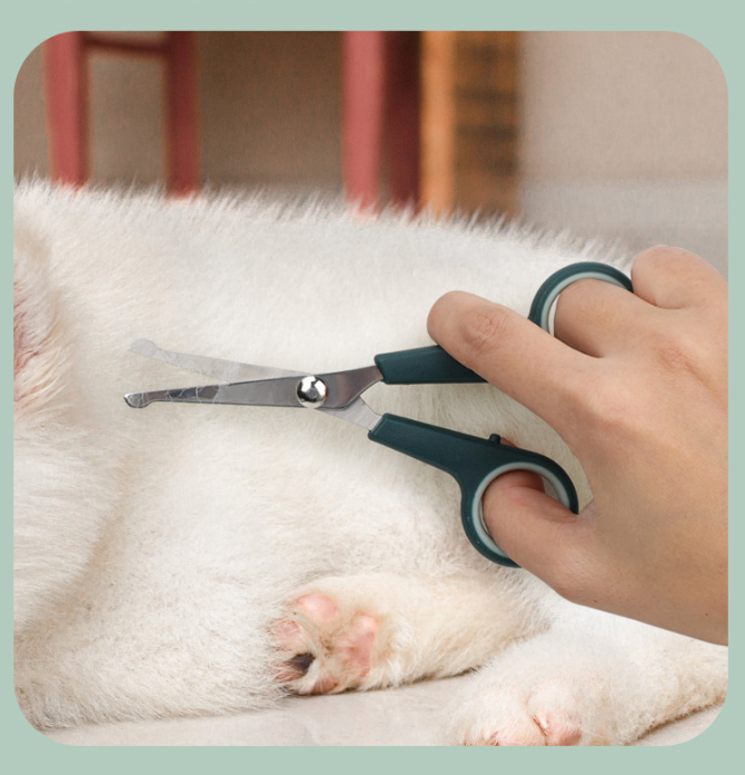 8-in-1 Pet Grooming Kit, Portable Dog Cat Grooming Supplies, Storage Bag for Daily Care — image 4