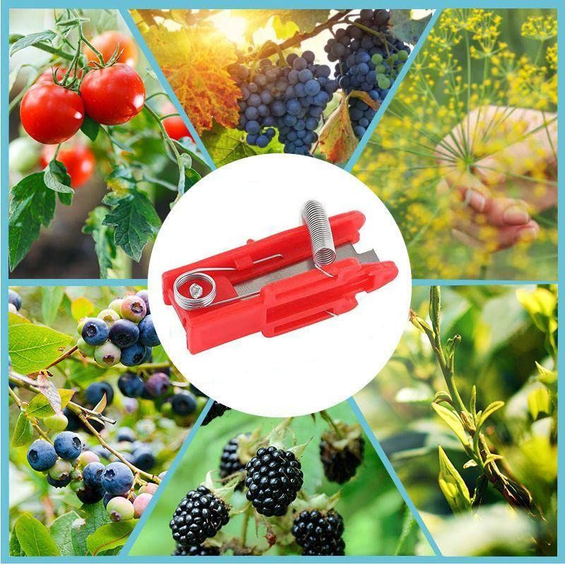 3 Pack Multifunctional Gardening Thump Knife Garden Cutter Finger Fruit Picker Hand Pruner for Vegetable Trimming Separator — image 3
