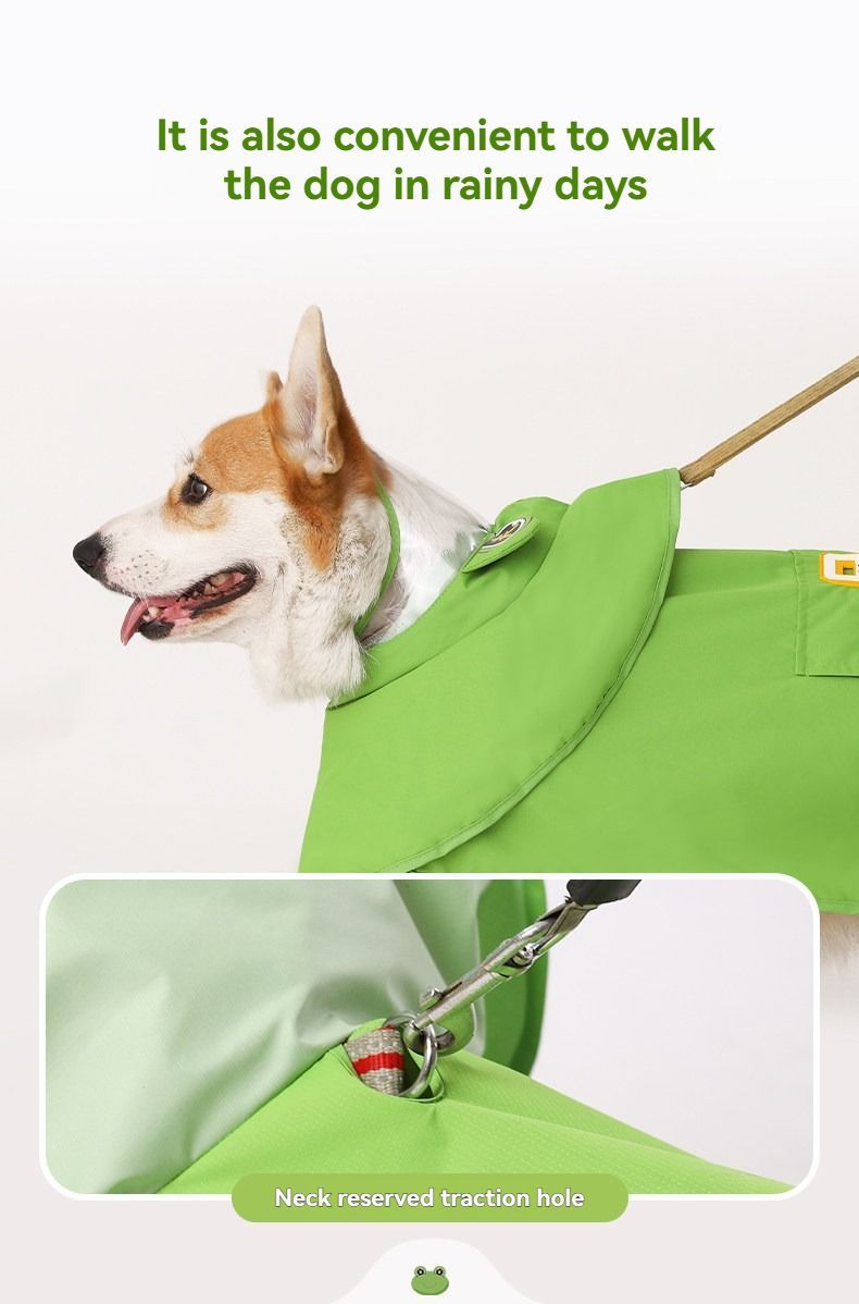 Dog Raincoat Shiba Inu Raincoat Corgi Raincoat Frog-Themed Dog Clothing - Green - Size XS-4-7.5kg โ image 3