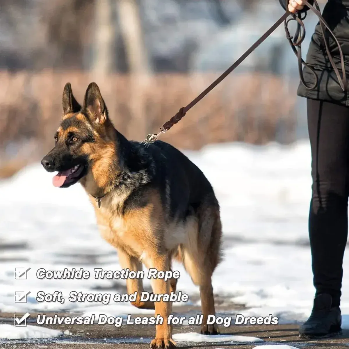 Dog Leash Cowhide Lead Heavy Duty Leather M Size Brown For Walking Training - Black โ image 5