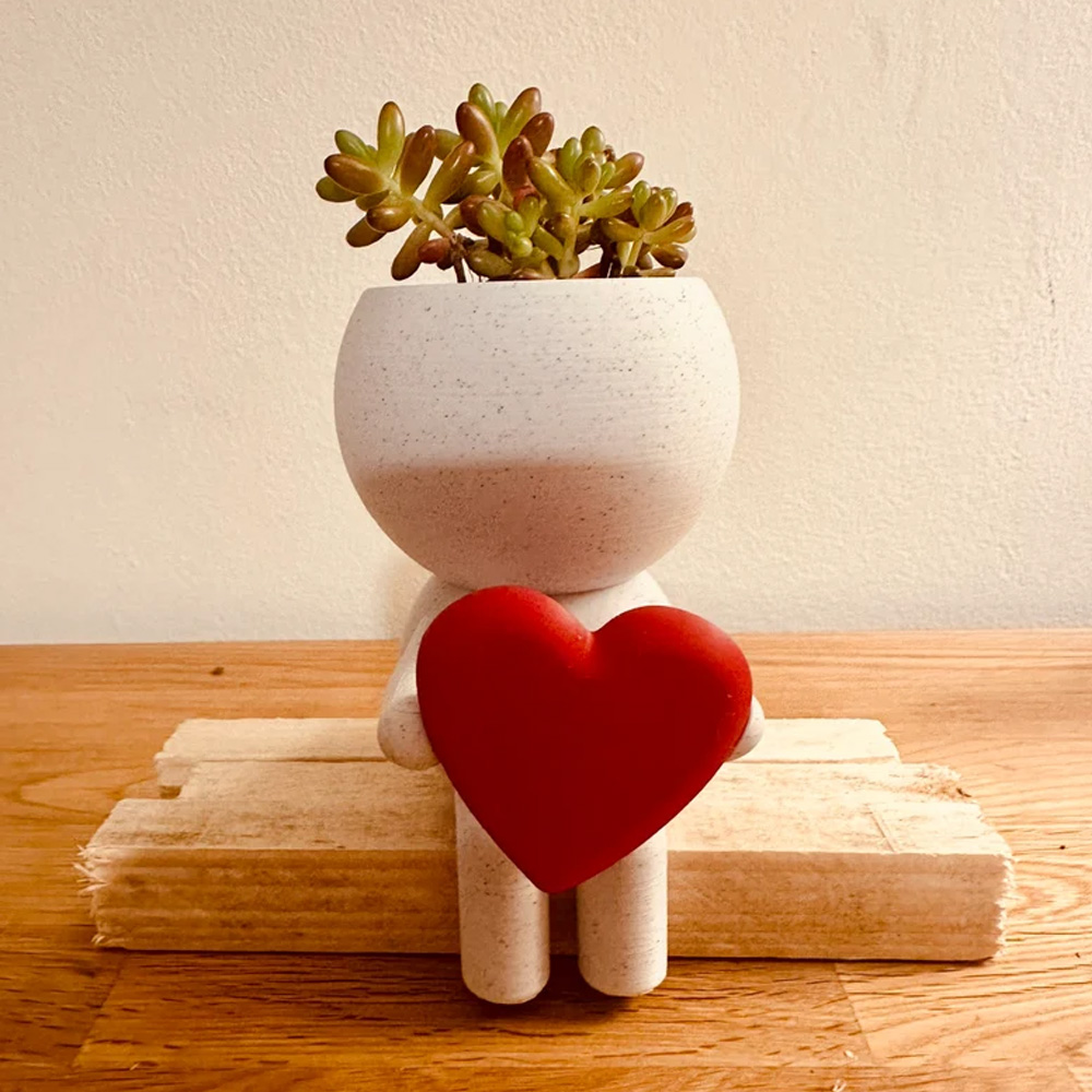 Home Decor Succulent Air Planter Stand,Air Plant holder, Air Plant Lover Gift Desk Decor โ image 2