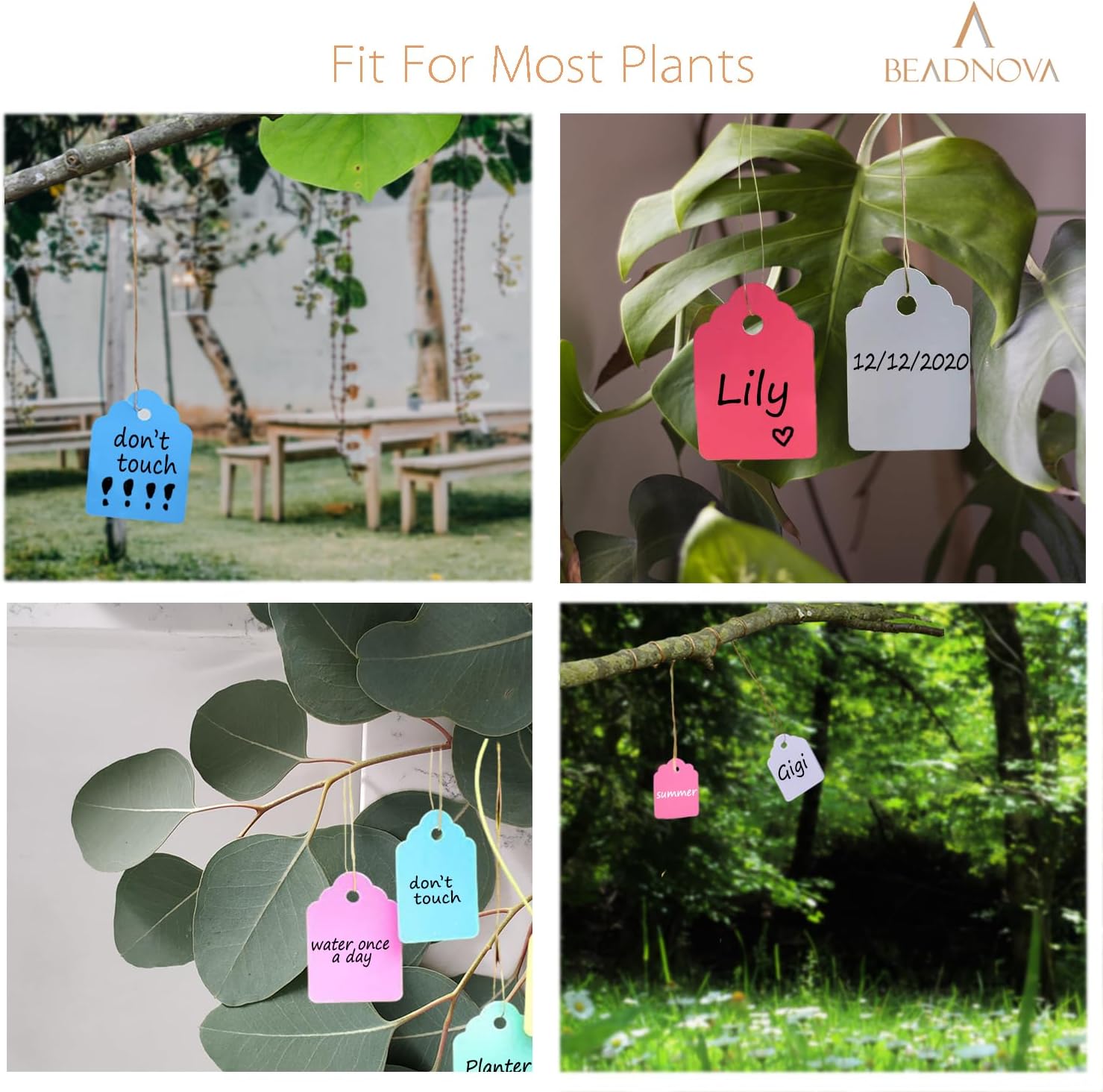 Plant Hanging Tags 500pcs Tags with String Reusable Plant Labels Markers Plastic Garden Signs Garden Markers for Outdoor (2 Inch, Mix Color) โ image 5