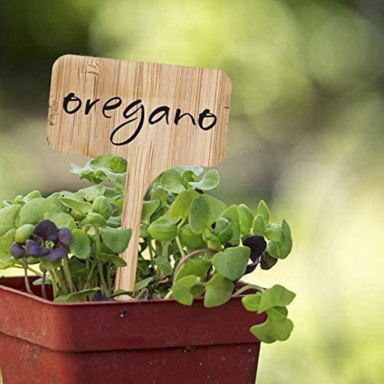 50pcs Plant Label Garden Label Stakes Sign Garden Stake Tags Garden Labels Gardening Label Plant Stake Labels Flower Tags — image 2