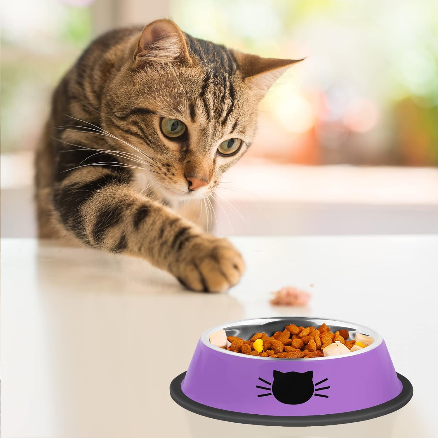 Cat Bowls Non-Slip Stainless Steel Small Cat Food Bowls Unbreakable Thicken Cat Feeder 7 Oz Cat Dishes Suitable for Indoor Small Pets Removable Rubber Base โ image 6
