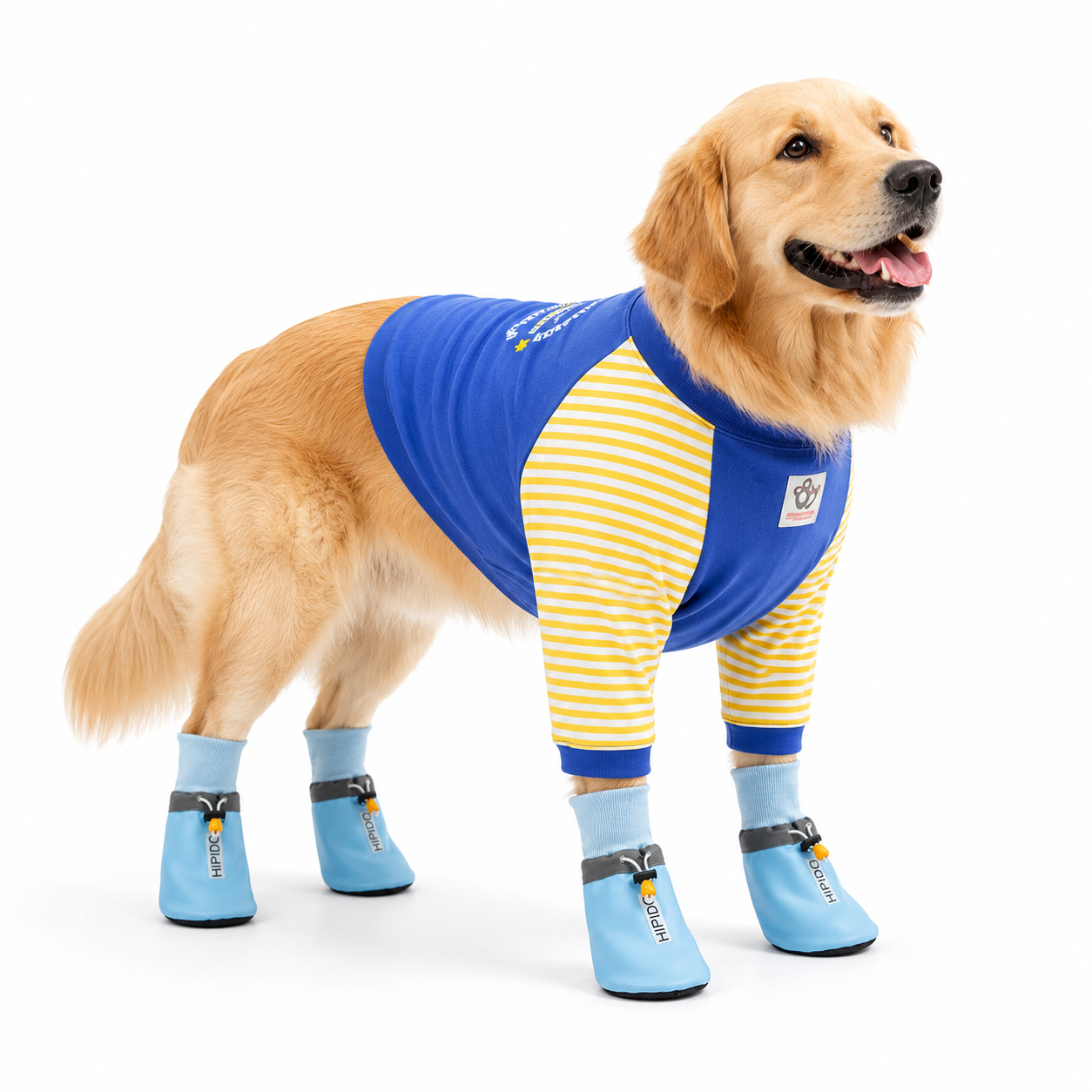 Blue 4XL Size Dog Protective Care Set - Polyester Elbow Sleeve, Adjustable Taffeta Dog Boots with Non-Slip Sole, Breathable Joint Support Clothing and Paw