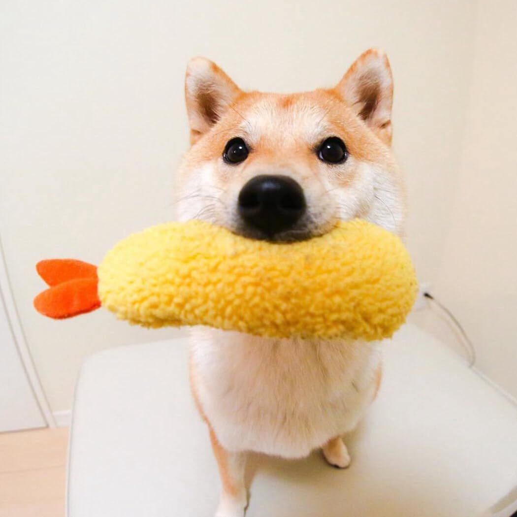 Pet plush toys — image 3