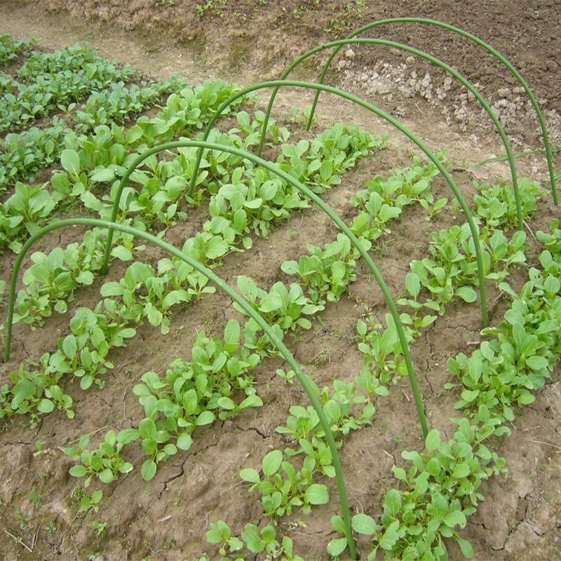6PCS Greenhouse Plant Hoops Garden Tunnel Support for Row Covers and Netting — image 4