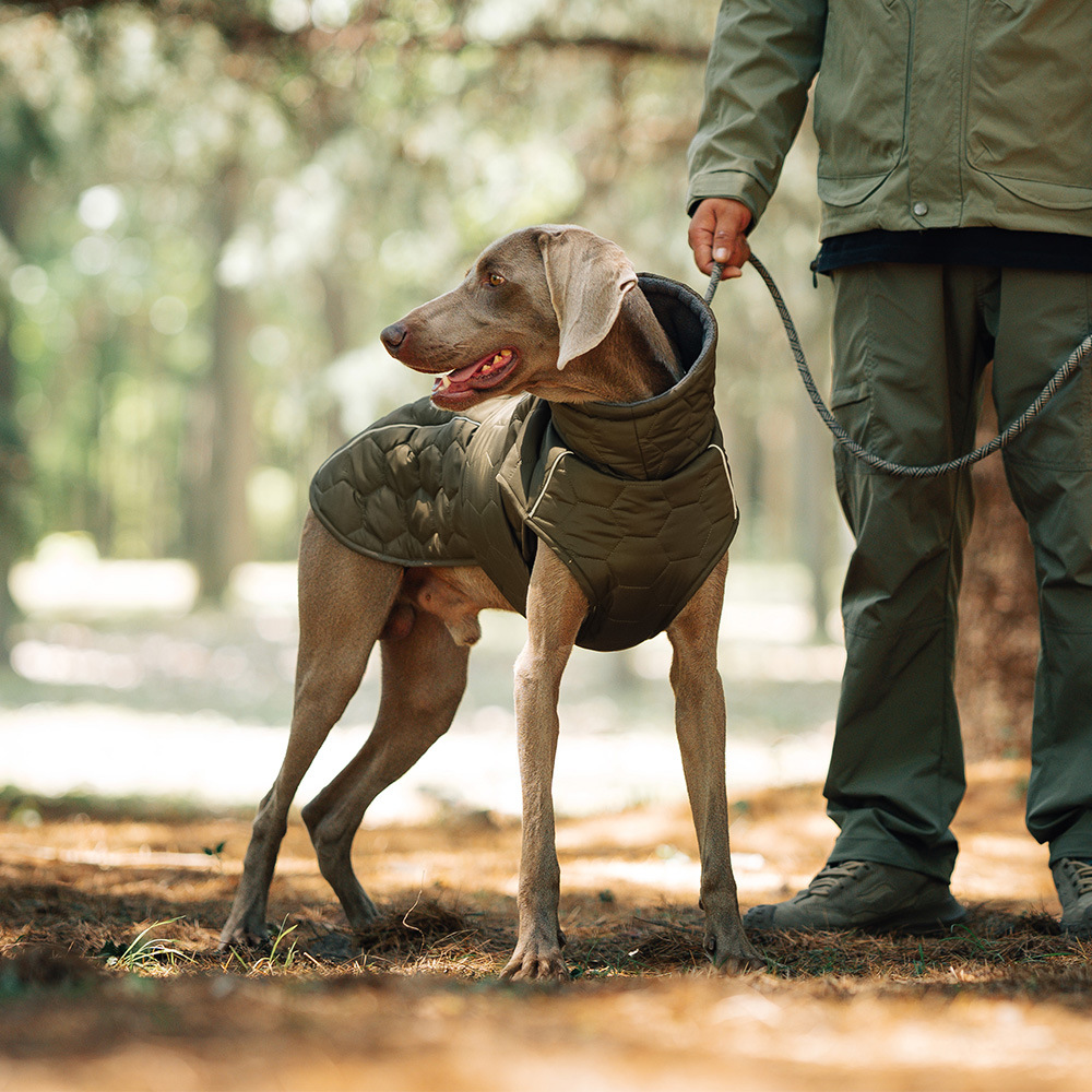 Size L Olive Green Warm Quilted Dog Winter Coat - Adjustable Fleece-Lined Puffer Vest with Reflective Trim & Leash Port โ image 3
