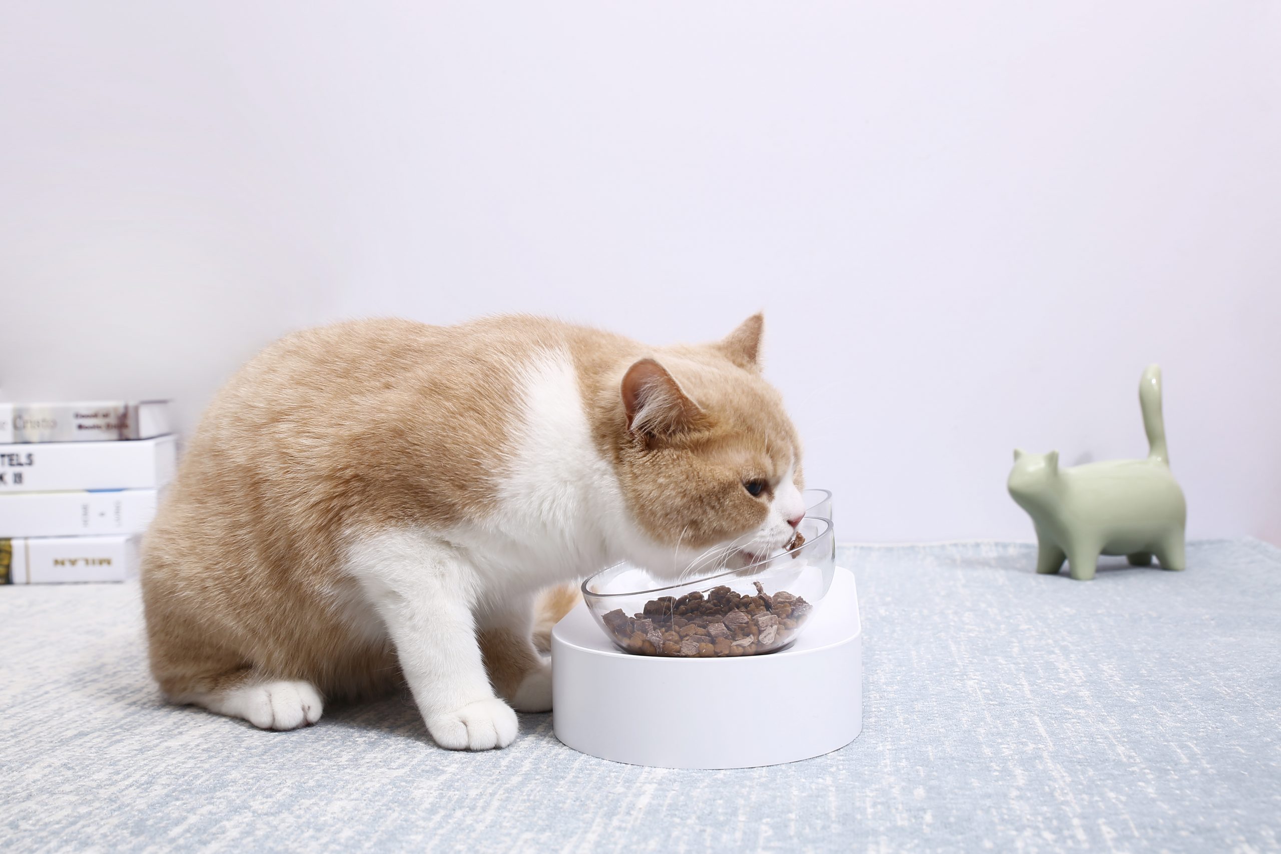 PETKIT Fresh Nano-15 Adjustable Cat Feeding Bowl -Single โ image 4
