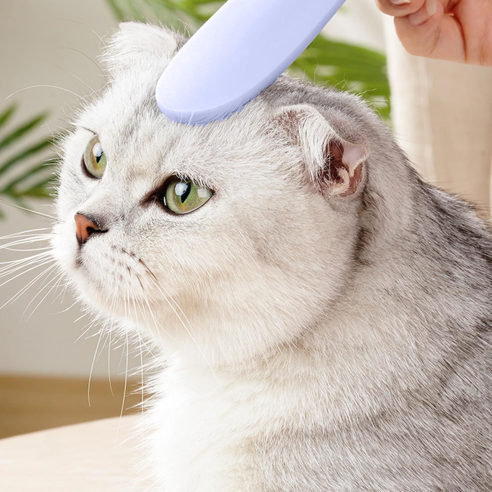 Cat Comb Simulated Cat Tongue Grooming Comb Cat Massage Comb for Pet Cat Daily Hair Care Tools (2 pcs) — image 4