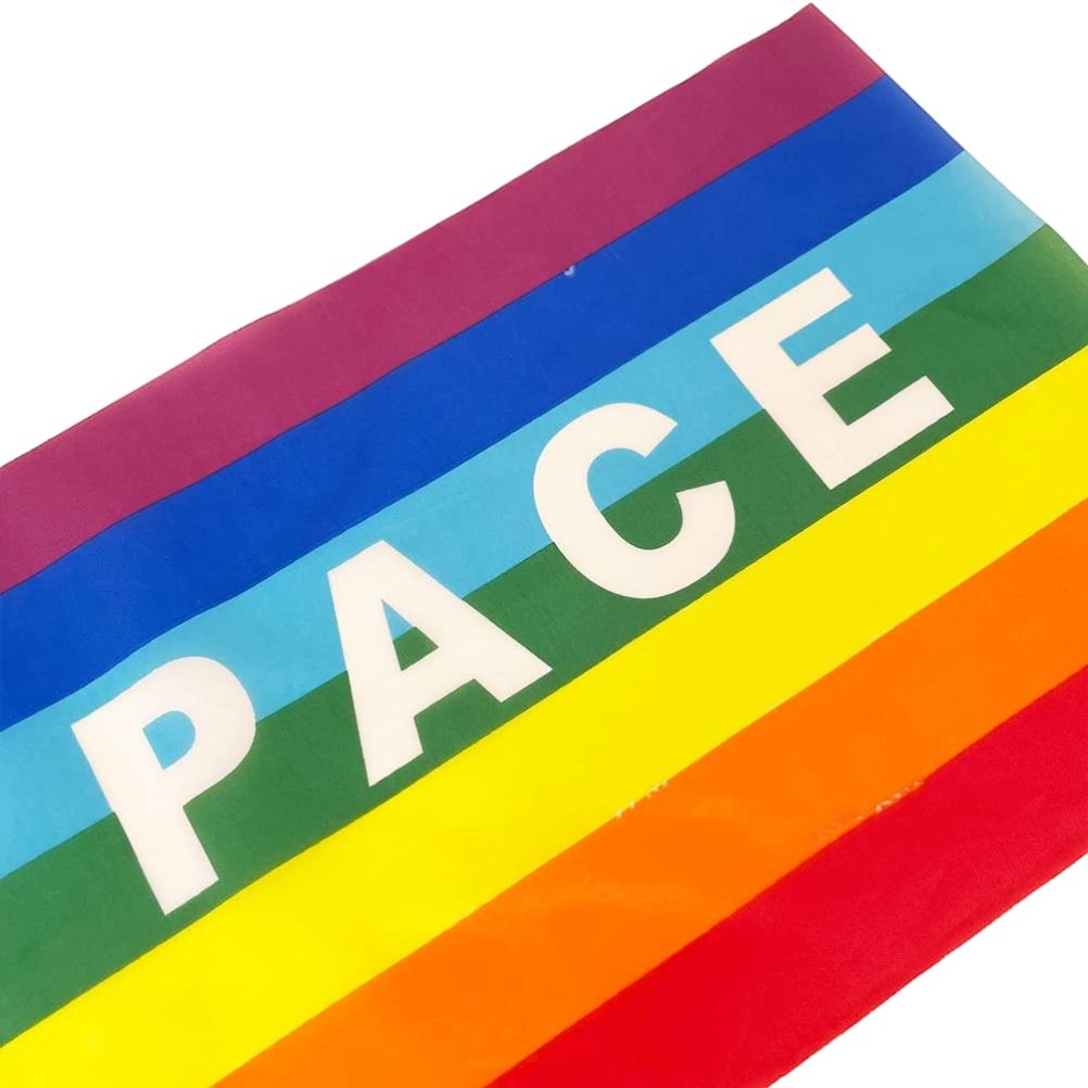 50/100Pcs Mini Peace Flag Rainbow Pacifist Flag Hand Held Polyester Peace Flag — image 6