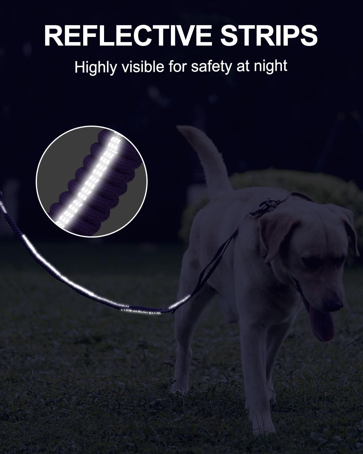 Bungee Dog Leash with Frog Snap Hook - Heavy Duty Elastic Training Lead for Medium Large Dogs - Shock Absorbing Anti-Pull Walking Leash - Purple — image 4