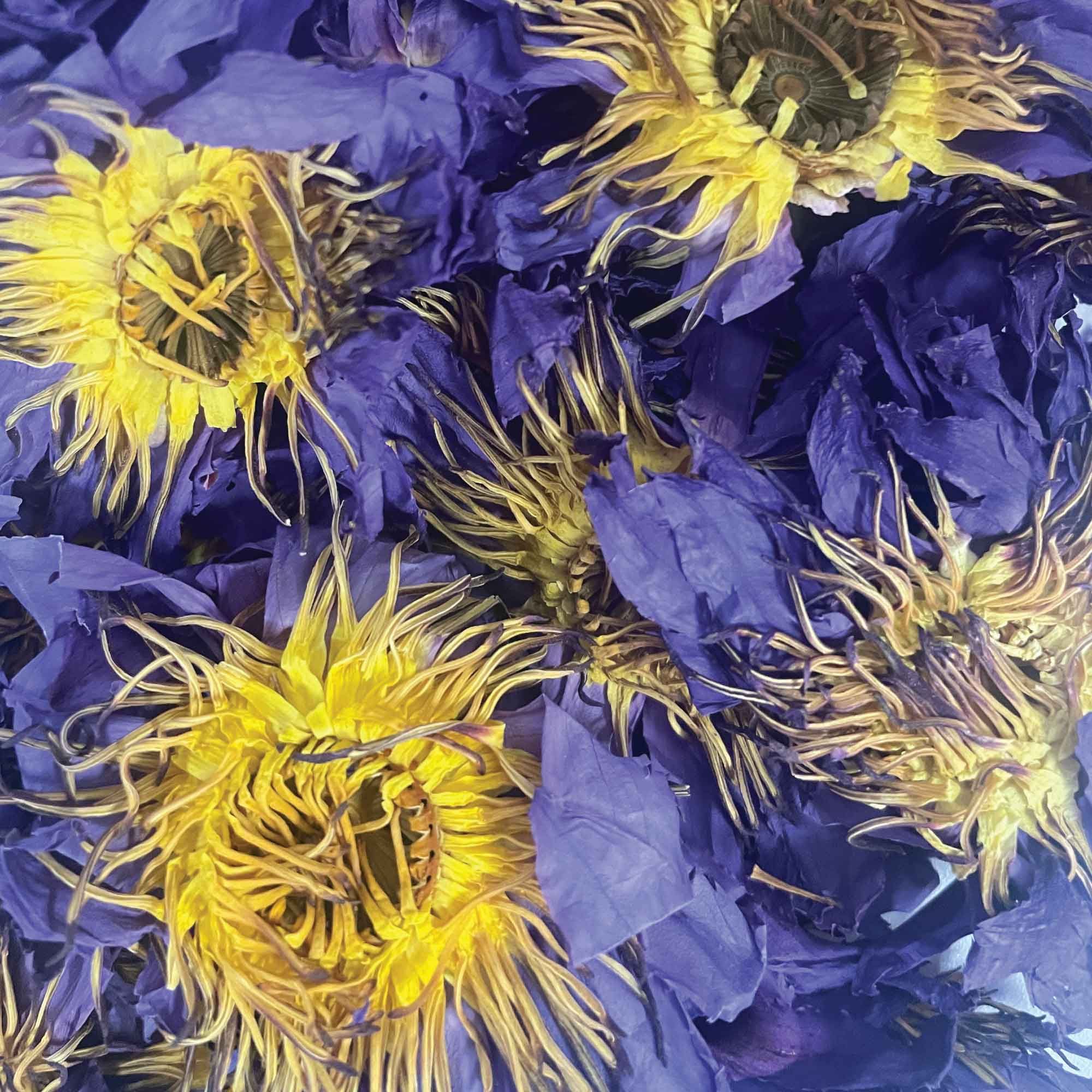 Orku 50g Blue Lotus Flowers - Dried Whole Open Lily Nymphaea Caerulea — image 3