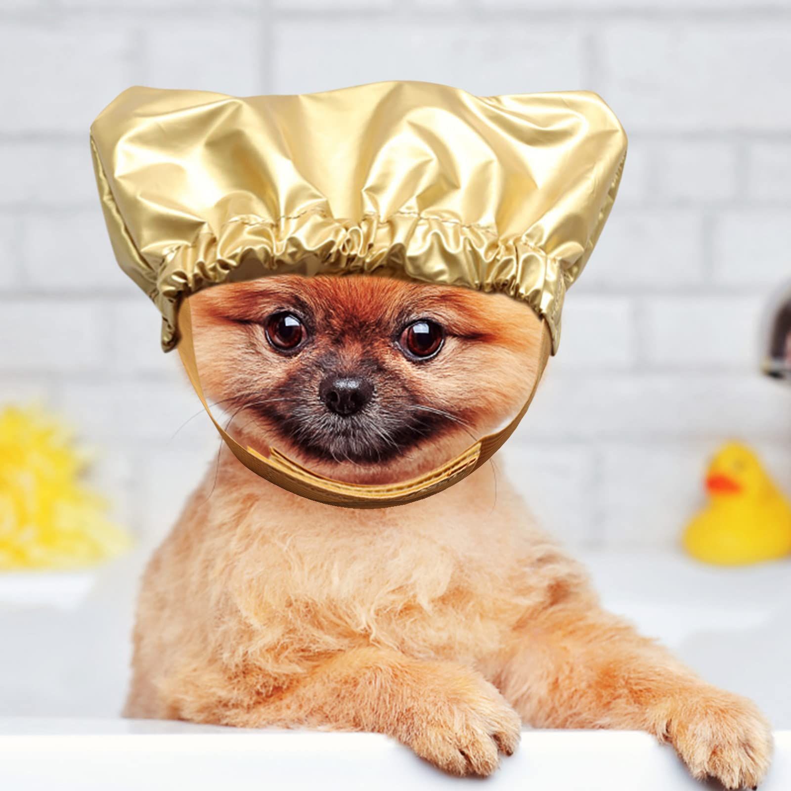 Large Dog Hats Dog Shower Fixed Taking Dogs Shower Bath S Cap for Pets Pet Shower Pet Cap with Adjustable Cap for Ears- Gold — image 2