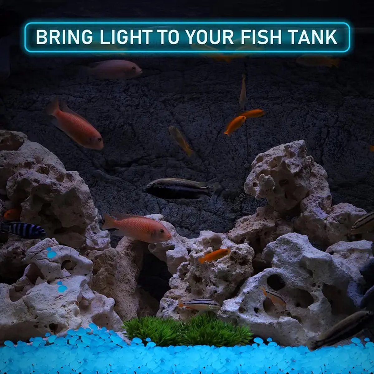 100x! Glow In The Dark Stones | Decorative Stones | Aquarium Pebbles | Garden Stones | Blue — image 2
