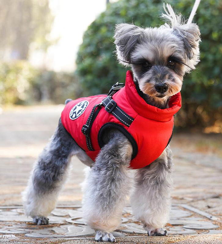 Waterproof Dog Winter Jacket with Harness Pink Size S Fleece Lined Zipper โ image 3