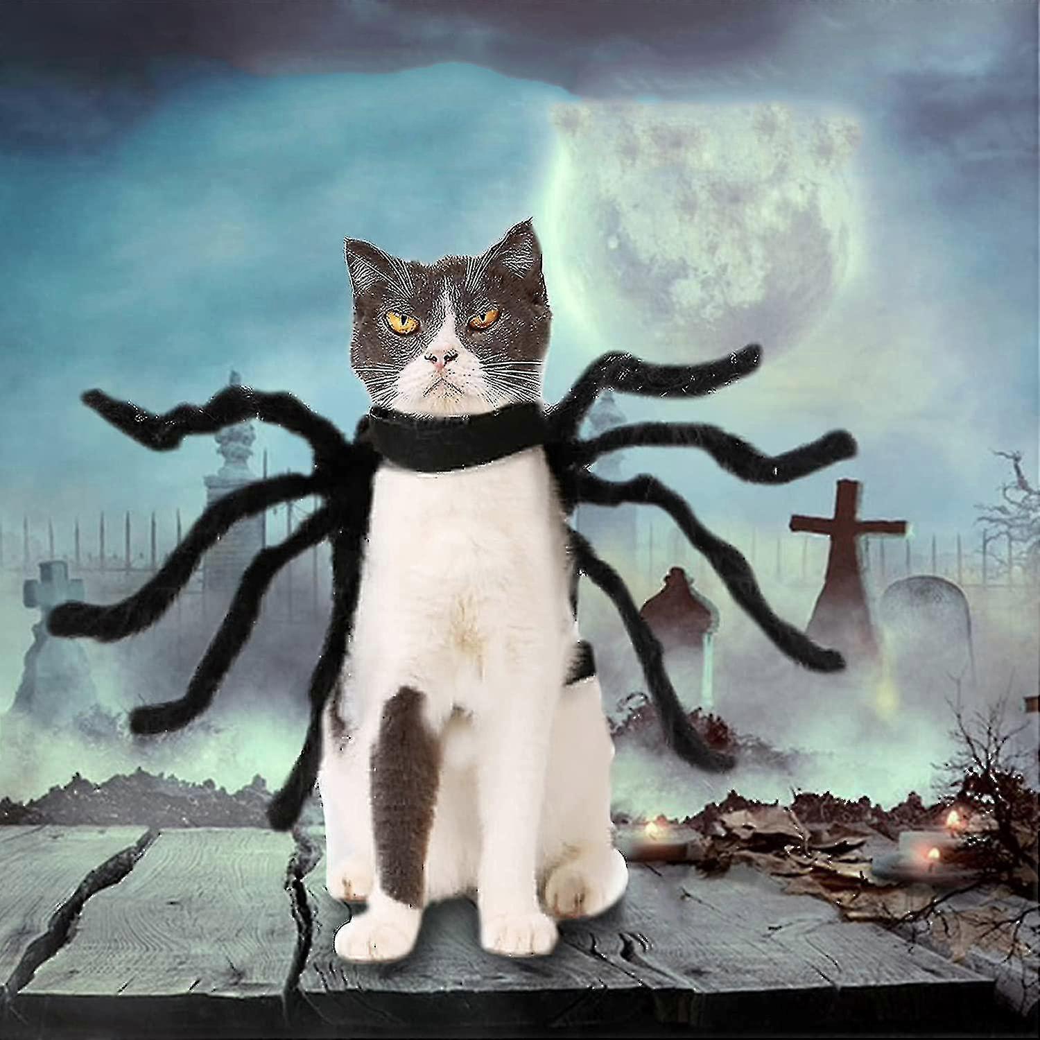 Halloween Adjustable Dog Cat Spider Costume Realistic Plush Spider — image 5