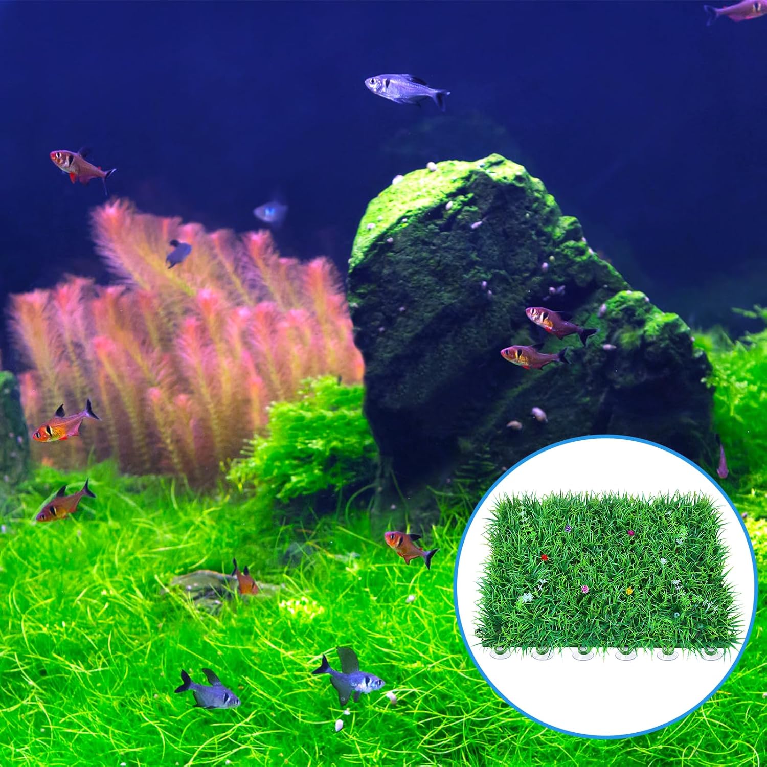 20 Pack Suction Cups with 40 Zip Ties for Aquarium Fish Tank Decoration Moss Shrimp Nest — image 5