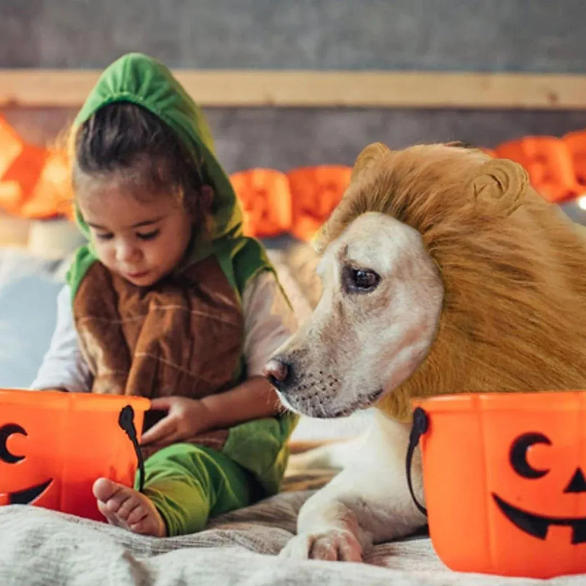 Lion Costume Mane Wig Large Dog Fancy Dress Up Party for Pet Halloween Clothes - Light Brown-S โ image 5
