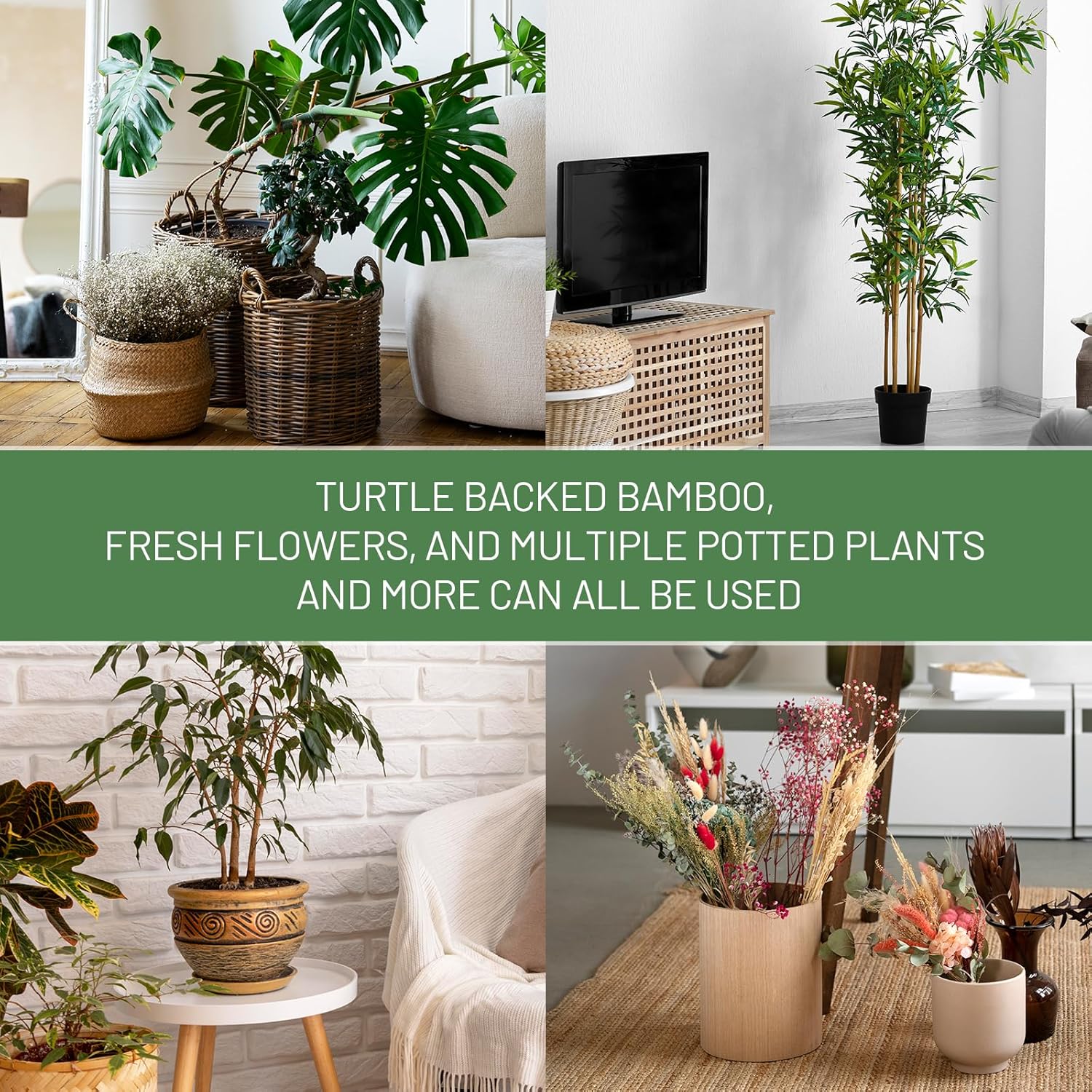 10.5cm x 10.5cm Gold Plant Stem Supports 4 Pack - Indoor Plant Stakes for Tall Plants, Monstera - Plant Anchoring Hooks for Indoor Gardens — image 5