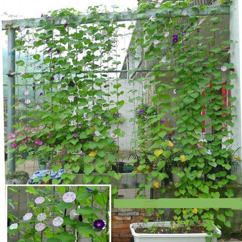 Garden Netting 1Pcs Garden Climbing Net Plant Trellis Plant net Green Strong Nylon Netting Heavy Duty Net Support for Climbing — image 3