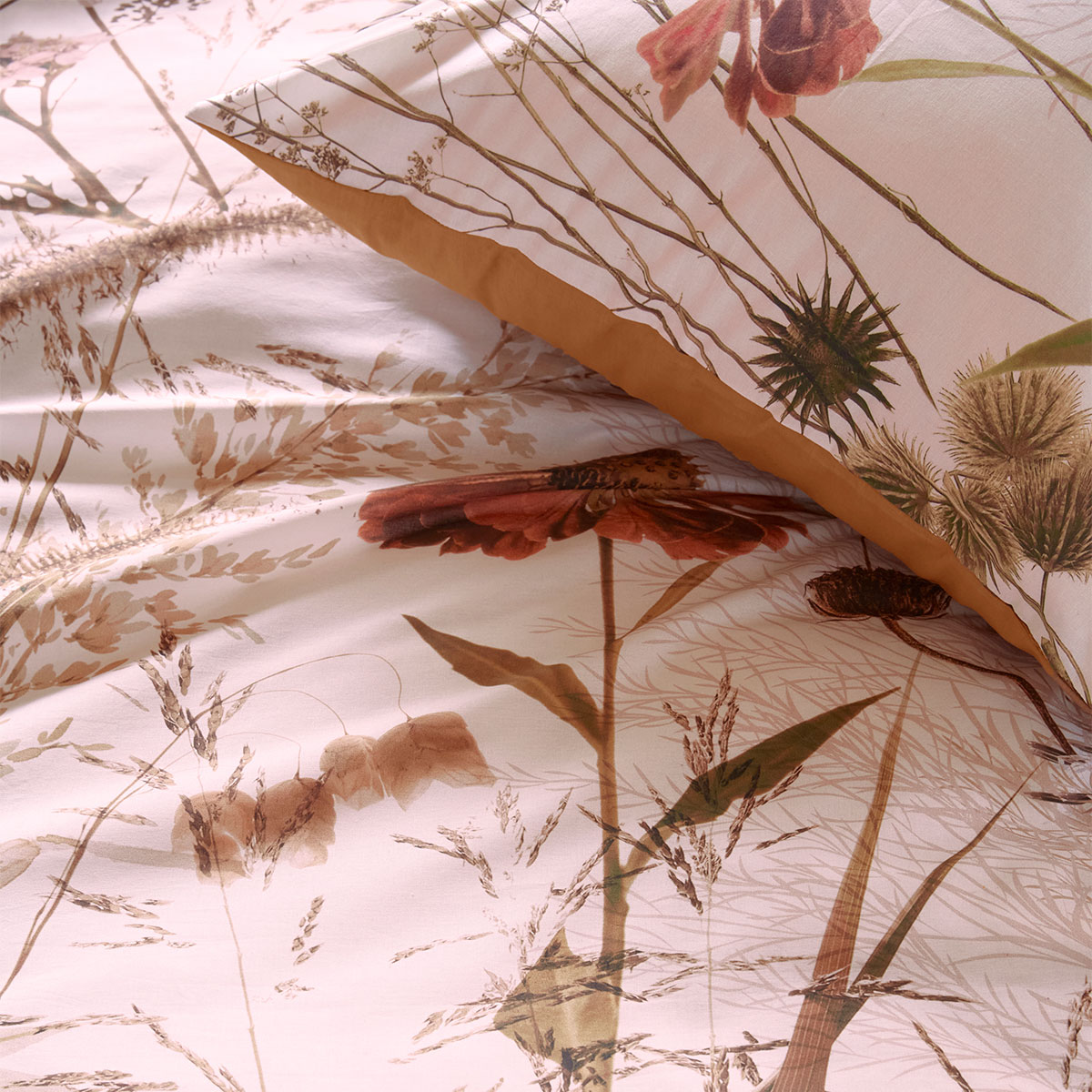 Bedding House Cely Multi Cotton Floral Quilt Cover Set Queen โ image 3