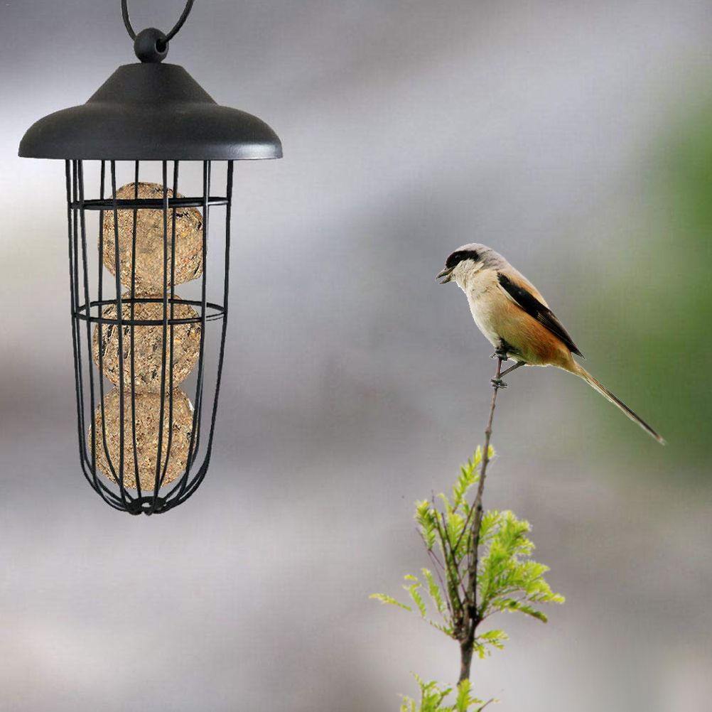 Outdoor Bird Feeder Hanging Fat Ball Holder Metal Bird Feeder Bird Food Dispenser โ image 5