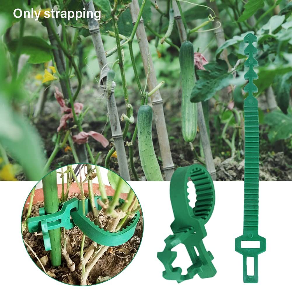 10 PCS Tree Stake Support Bands, Garden Stake Connectors, Tree Support Straps Tree Stakes and Supports for Young Trees — image 4