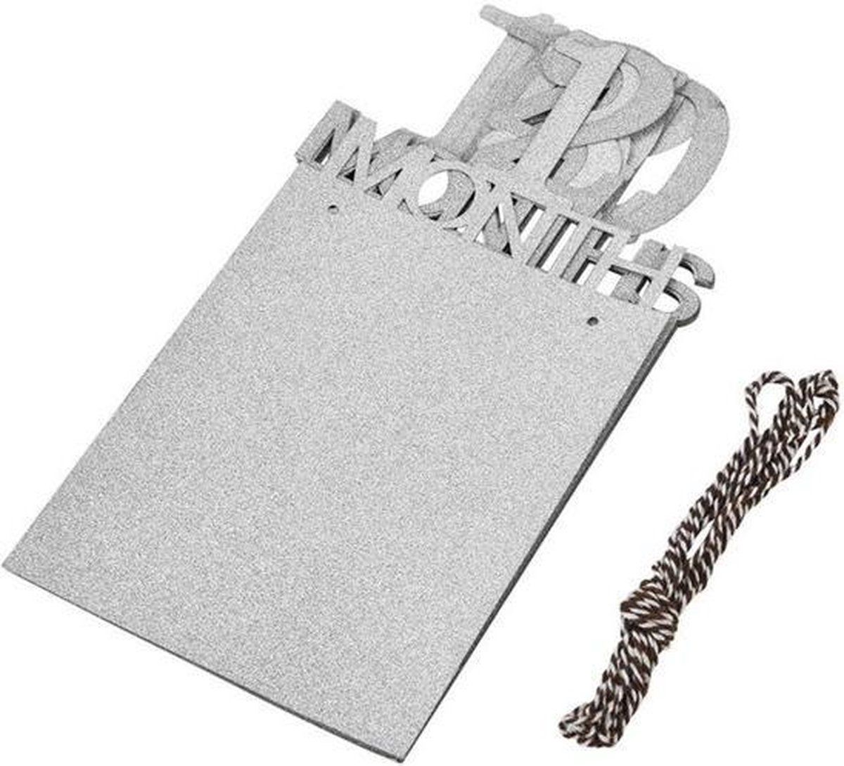 1-12 Month Baby Milestone Photo Garland, First-Year Picture Display Banner, Silver — image 6