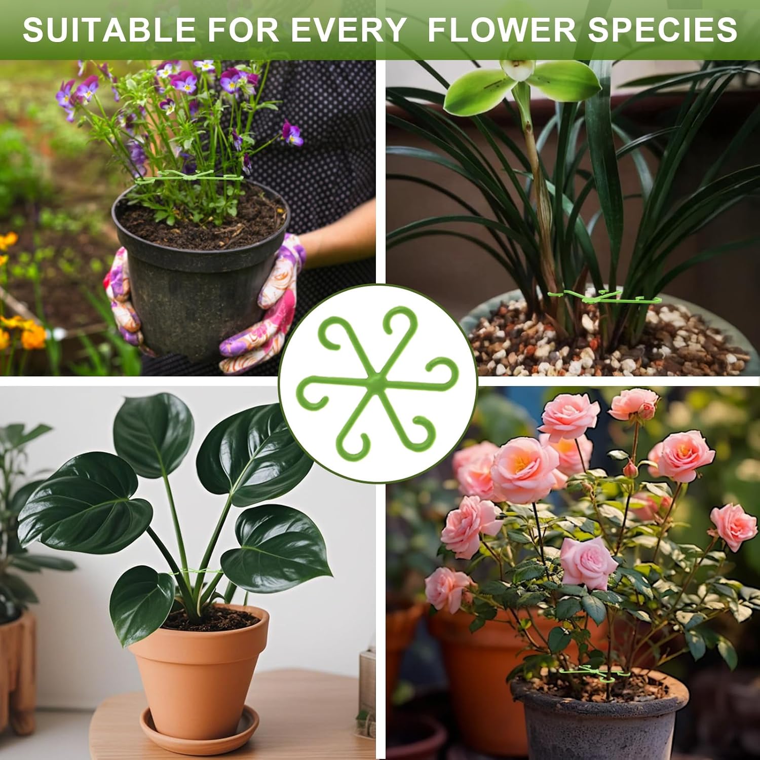 16 Pack Indoor Plant Stakes 4 Sizes 4 of Each Size Green Plant Supports for Tall Plants Monstera Plant Anchors Plant Fixing Hooks Suitable for Indoor Gardens — image 5