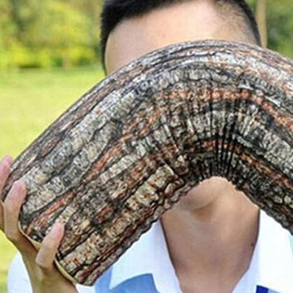 Log Cushion Round Stump Shaped Wood Grain Design Decorative Pillow Cover for Home Decor — image 3