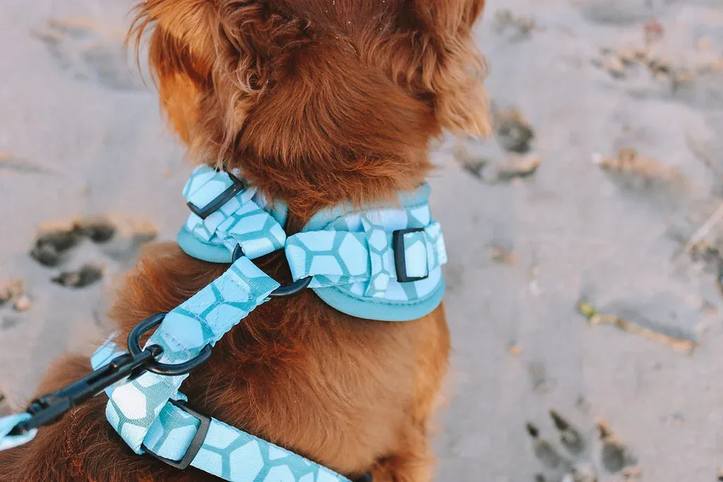 Designer Dog Harness — image 3