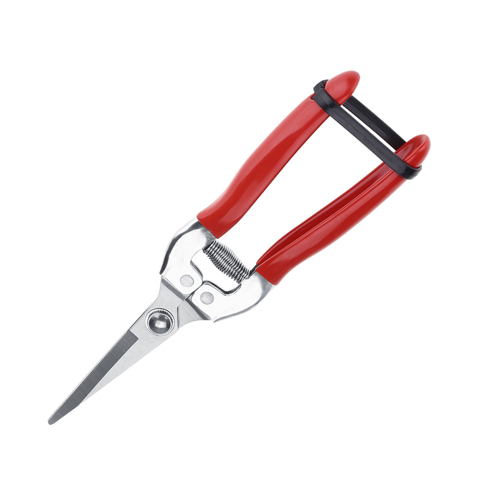 1Pc Sturdy Fruit Tree Bonsai Gardening Pruning Shear Garden Scissors Pruner Tool Straight Blade โ image 5