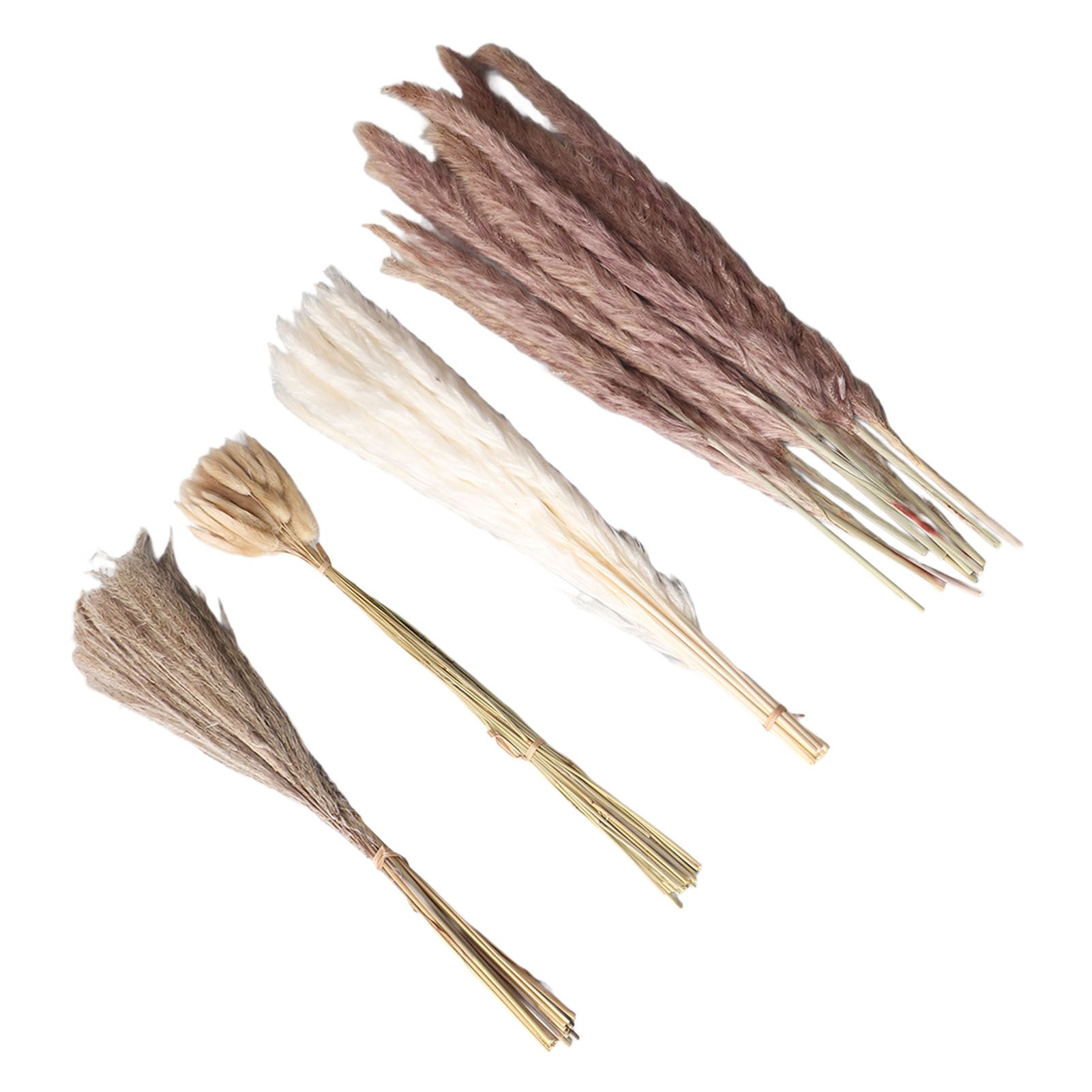 Natural Dried Pampas Grass Fluffy 15PCS White Pampas 15PCS Brown Pampas 50PCS Bunny Tail Grass 20PCS Reed Grass for Home Wedding Decor โ image 2