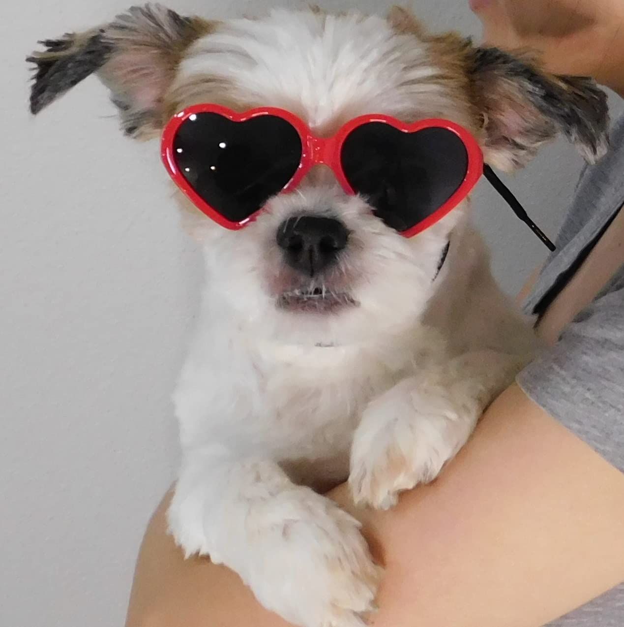 Dog Small Breed up to 15lbs Puppy Cat Pet Heart Tiny Sunglasses Photos Props Pets Party Decor Dog Sunglasses(Red) — image 4