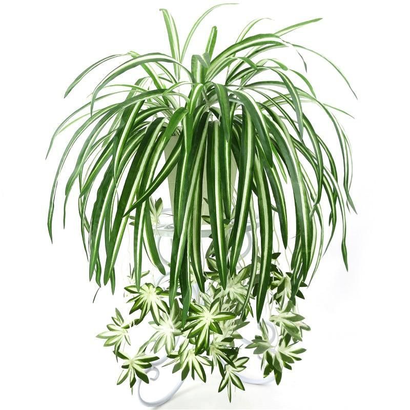 Artificial Chlorophytum Plant Wall Hanging, Green PVC, 65cm, Living Room Decoration, Fake Flower Simulation, Rattan Origin: China