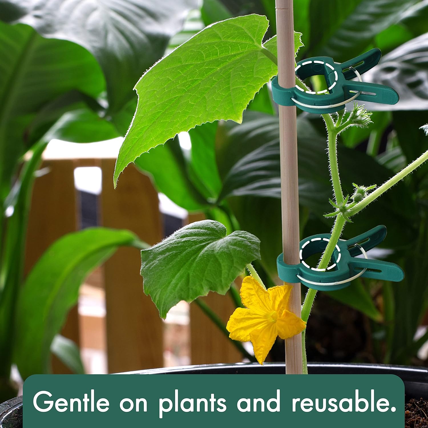 48 Pcs Garden Plant Clips, Plant Support Clips for Securing Stems, Flowers or Climbing Vines to Tomato Cages, Trellis โ image 4