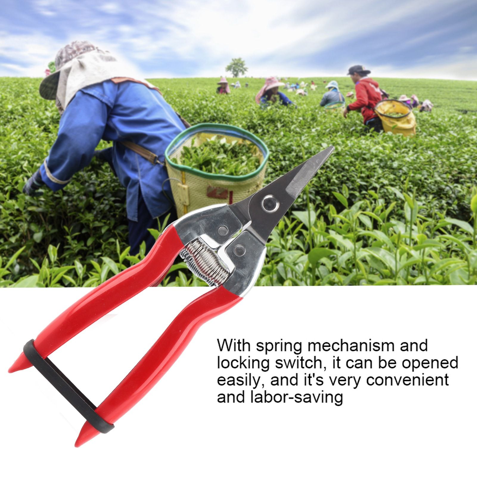 1Pc Sturdy Fruit Tree Bonsai Gardening Pruning Shear Garden Scissors Pruner Tool Curved Blade โ image 4