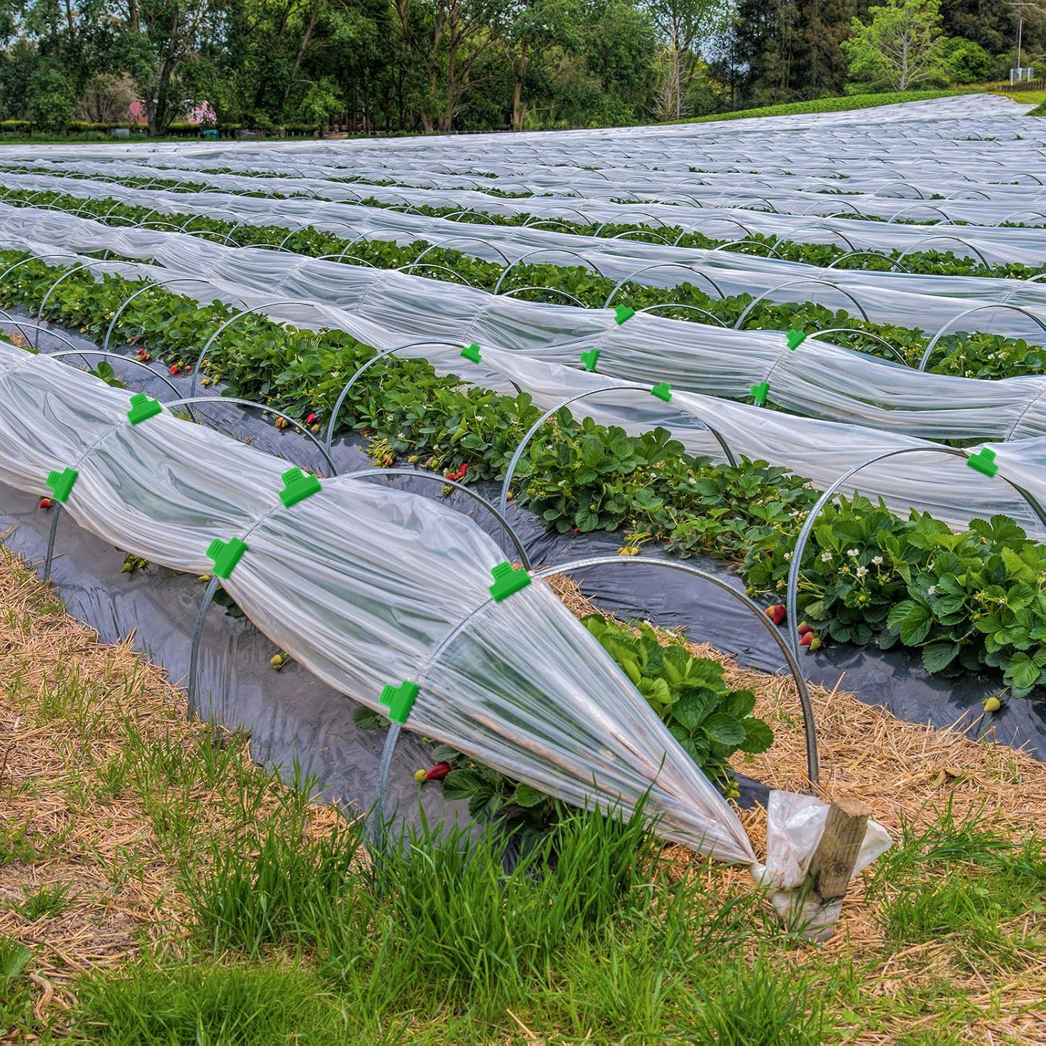 40 Pieces Greenhouse Clamps Film Row Cover Netting Tunnel Hoop Clip Frame Shading Net Rod Clip Greenhouse Film Clamps for Season Plant Extension Support (40 โ image 6