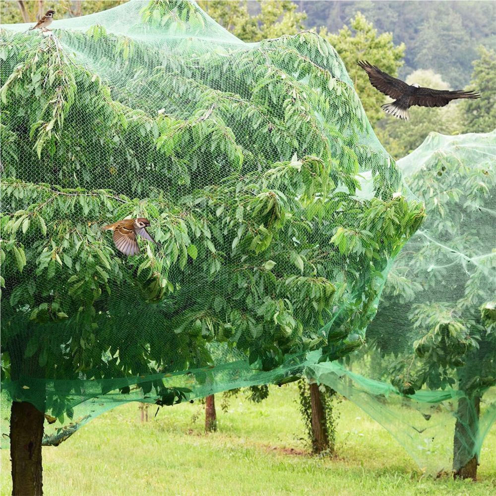 Bird Netting for Garden (2×10m) Garden Netting Pest Barrier,Cicada Netting Protect Fruit Trees Blueberry Bushes Vegetable Plant — image 2