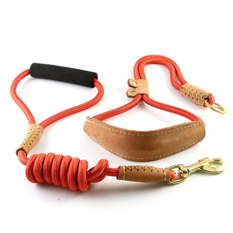 Dog Leash Nylon P Rope Training for Medium Large Dogs Black — image 2